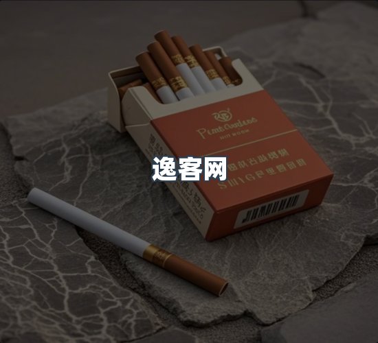关于逸客网